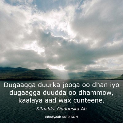 Picture 03 - Ishacyaah 56:9 SOM - Dugaagga duurka jooga oo dhan iyo dugaagga duudda - Bible Verse Picture