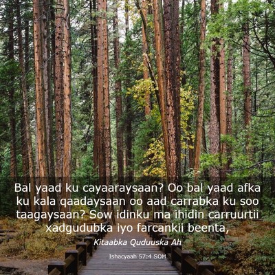 Picture 03 - Ishacyaah 57:4 SOM - Bal yaad ku cayaaraysaan? Oo bal yaad afka ku - Bible Verse Picture