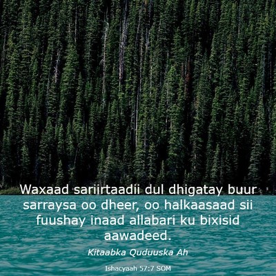 Picture 03 - Ishacyaah 57:7 SOM - Waxaad sariirtaadii dul dhigatay buur sarraysa oo - Bible Verse Picture