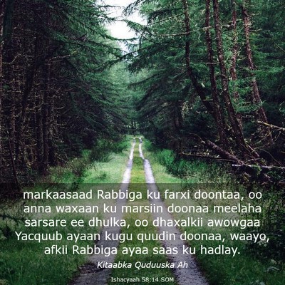 Picture 03 - Ishacyaah 58:14 SOM - markaasaad Rabbiga ku farxi doontaa, oo anna - Bible Verse Picture