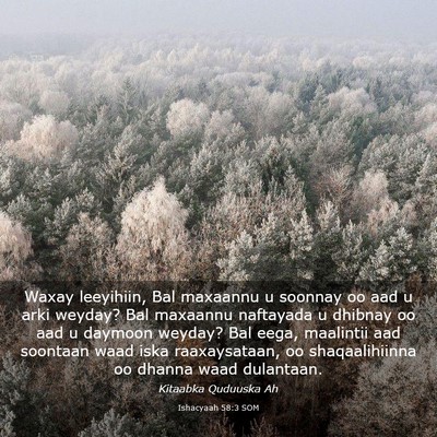 Picture 03 - Ishacyaah 58:3 SOM - Waxay leeyihiin, Bal maxaannu u soonnay oo aad u - Bible Verse Picture
