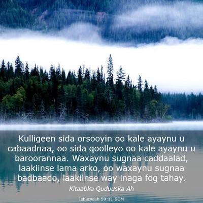 Picture 03 - Ishacyaah 59:11 SOM - Kulligeen sida orsooyin oo kale ayaynu u - Bible Verse Picture