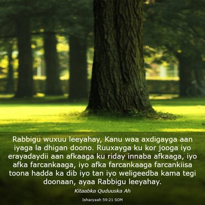Picture 03 - Ishacyaah 59:21 SOM - Rabbigu wuxuu leeyahay, Kanu waa axdigayga aan - Bible Verse Picture