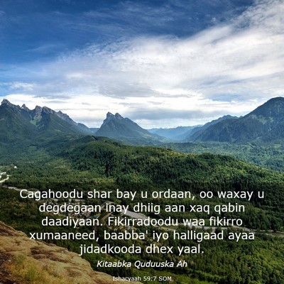 Picture 03 - Ishacyaah 59:7 SOM - Cagahoodu shar bay u ordaan, oo waxay u degdegaan - Bible Verse Picture