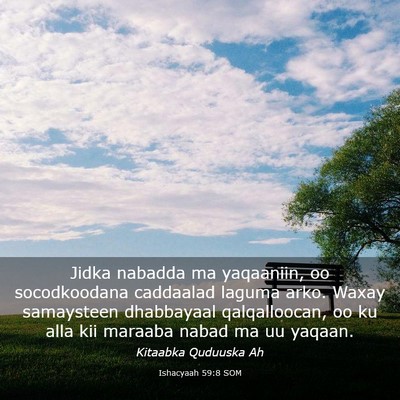 Picture 03 - Ishacyaah 59:8 SOM - Jidka nabadda ma yaqaaniin, oo socodkoodana - Bible Verse Picture