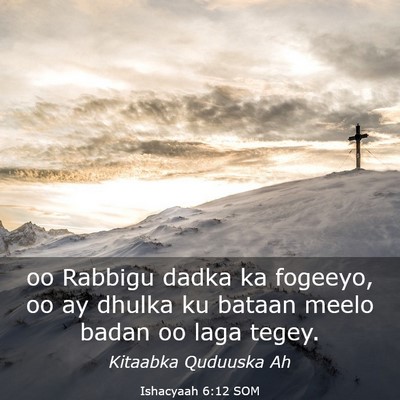 Picture 03 - Ishacyaah 6:12 SOM - oo Rabbigu dadka ka fogeeyo, oo ay dhulka ku - Bible Verse Picture