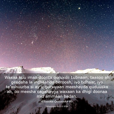 Picture 03 - Ishacyaah 60:13 SOM - Waxaa kuu iman doonta quruxdii Lubnaan, taasoo ah - Bible Verse Picture