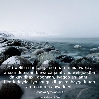 Picture 03 - Ishacyaah 60:21 SOM - Oo weliba dadkaaga oo dhammuna waxay ahaan - Bible Verse Picture