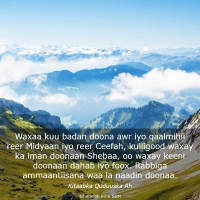 Picture 03 - Ishacyaah 60:6 SOM - Waxaa kuu badan doona awr iyo qaalmihii reer - Bible Verse Picture