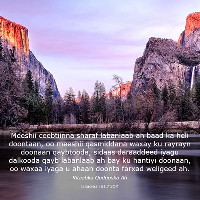 Picture 03 - Ishacyaah 61:7 SOM - Meeshii ceebtiinna sharaf labanlaab ah baad ka - Bible Verse Picture