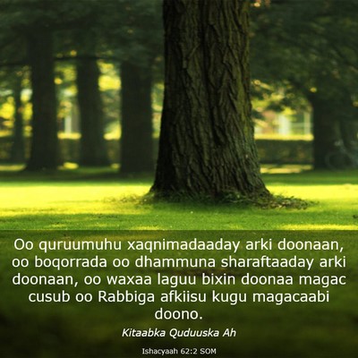 Picture 03 - Ishacyaah 62:2 SOM - Oo quruumuhu xaqnimadaaday arki doonaan, oo - Bible Verse Picture