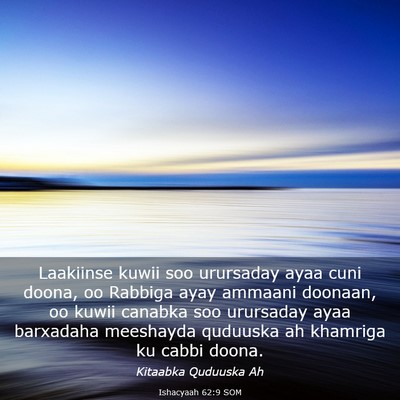 Picture 03 - Ishacyaah 62:9 SOM - Laakiinse kuwii soo urursaday ayaa cuni doona, oo - Bible Verse Picture