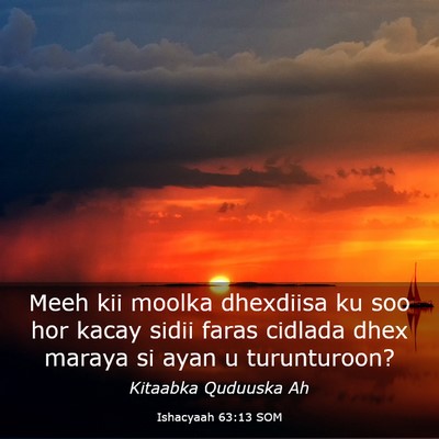 Picture 03 - Ishacyaah 63:13 SOM - Meeh kii moolka dhexdiisa ku soo hor kacay sidii - Bible Verse Picture