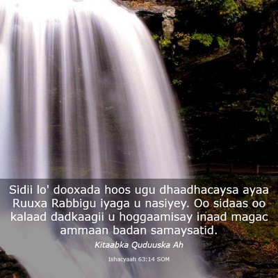 Picture 03 - Ishacyaah 63:14 SOM - Sidii lo' dooxada hoos ugu dhaadhacaysa ayaa - Bible Verse Picture