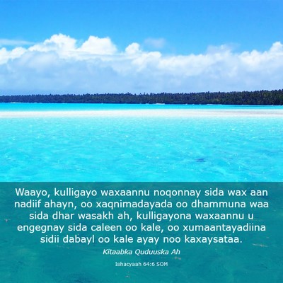 Picture 03 - Ishacyaah 64:6 SOM - Waayo, kulligayo waxaannu noqonnay sida wax aan - Bible Verse Picture