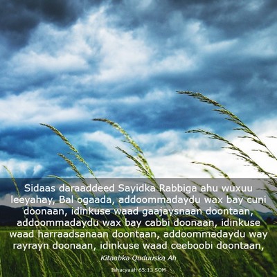 Picture 03 - Ishacyaah 65:13 SOM - Sidaas daraaddeed Sayidka Rabbiga ahu wuxuu - Bible Verse Picture