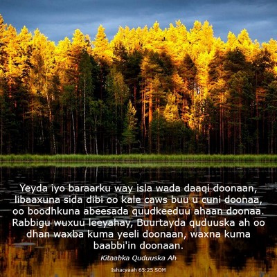 Picture 03 - Ishacyaah 65:25 SOM - Yeyda iyo baraarku way isla wada daaqi doonaan, - Bible Verse Picture