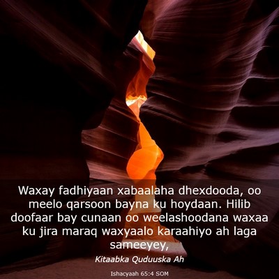 Picture 03 - Ishacyaah 65:4 SOM - Waxay fadhiyaan xabaalaha dhexdooda, oo meelo - Bible Verse Picture