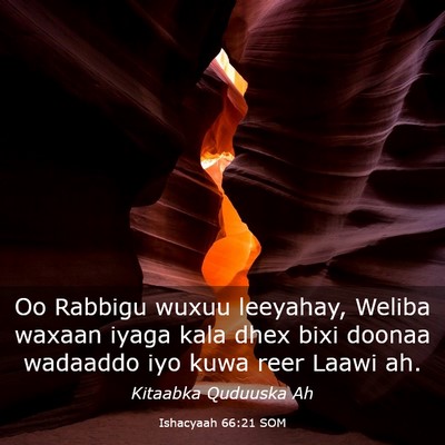 Picture 03 - Ishacyaah 66:21 SOM - Oo Rabbigu wuxuu leeyahay, Weliba waxaan iyaga - Bible Verse Picture