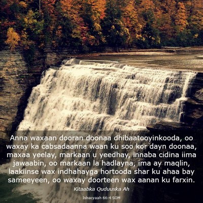 Picture 03 - Ishacyaah 66:4 SOM - Anna waxaan dooran doonaa dhibaatooyinkooda, oo - Bible Verse Picture