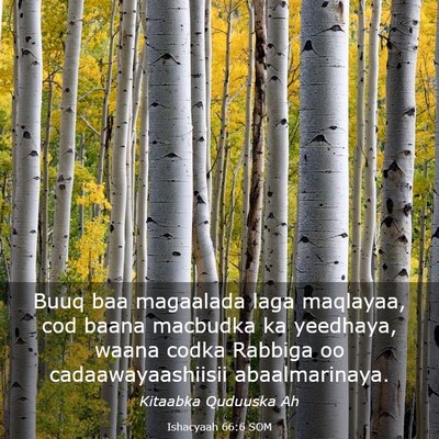 Picture 03 - Ishacyaah 66:6 SOM - Buuq baa magaalada laga maqlayaa, cod baana - Bible Verse Picture