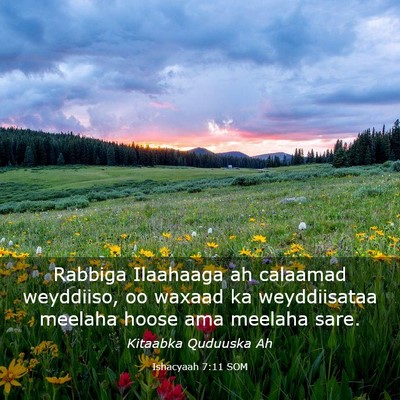 Picture 03 - Ishacyaah 7:11 SOM - Rabbiga Ilaahaaga ah calaamad weyddiiso, oo - Bible Verse Picture
