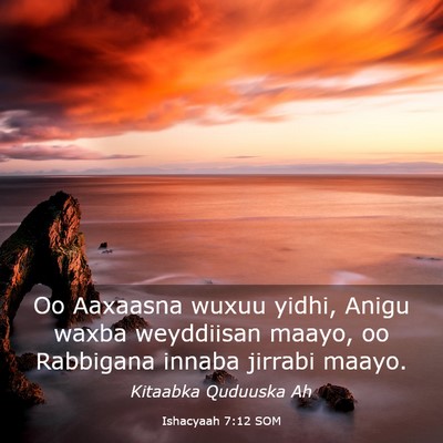Picture 03 - Ishacyaah 7:12 SOM - Oo Aaxaasna wuxuu yidhi, Anigu waxba weyddiisan - Bible Verse Picture