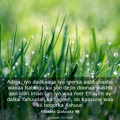 Picture 03 - Ishacyaah 7:17 SOM - Adiga, iyo dadkaaga iyo reerka aabbahaaba waxaa - Bible Verse Picture