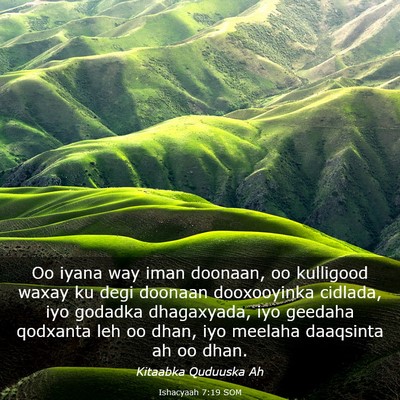 Picture 03 - Ishacyaah 7:19 SOM - Oo iyana way iman doonaan, oo kulligood waxay ku - Bible Verse Picture