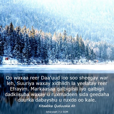 Picture 03 - Ishacyaah 7:2 SOM - Oo waxaa reer Daa'uud loo soo sheegay war leh, - Bible Verse Picture