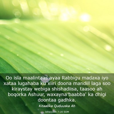 Picture 03 - Ishacyaah 7:20 SOM - Oo isla maalintaas ayaa Rabbigu madaxa iyo xataa - Bible Verse Picture