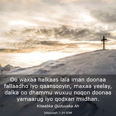 Picture 03 - Ishacyaah 7:24 SOM - Oo waxaa halkaas lala iman doonaa fallaadho iyo - Bible Verse Picture