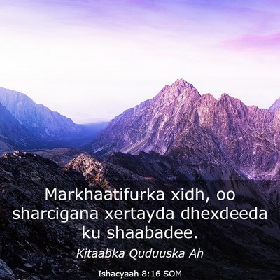 Picture 03 - Ishacyaah 8:16 SOM - Markhaatifurka xidh, oo sharcigana xertayda - Bible Verse Picture
