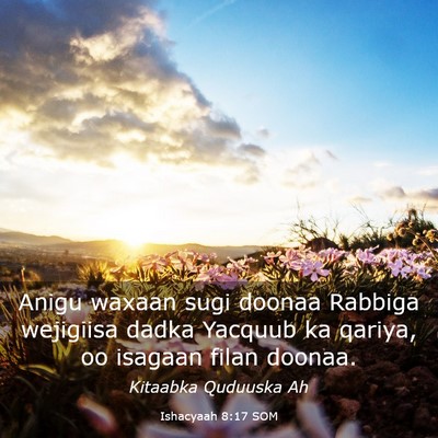 Picture 03 - Ishacyaah 8:17 SOM - Anigu waxaan sugi doonaa Rabbiga wejigiisa dadka - Bible Verse Picture