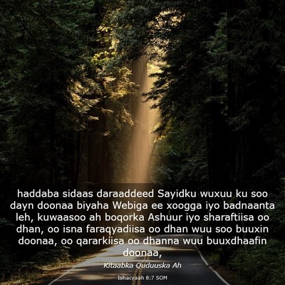 Picture 03 - Ishacyaah 8:7 SOM - haddaba sidaas daraaddeed Sayidku wuxuu ku soo - Bible Verse Picture