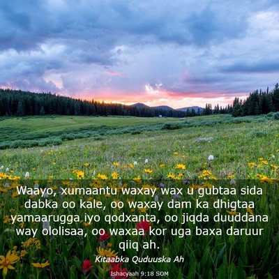 Picture 03 - Ishacyaah 9:18 SOM - Waayo, xumaantu waxay wax u gubtaa sida dabka oo - Bible Verse Picture