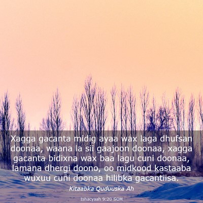 Picture 03 - Ishacyaah 9:20 SOM - Xagga gacanta midig ayaa wax laga dhufsan doonaa, - Bible Verse Picture