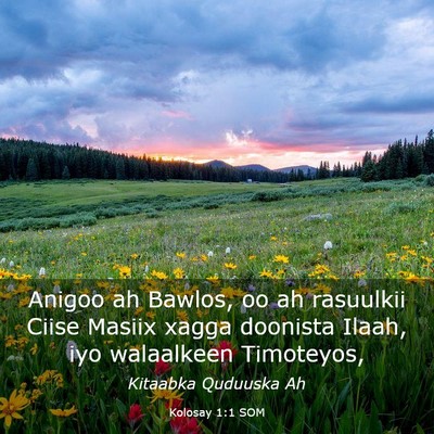 Picture 03 - Kolosay 1:1 SOM - Anigoo ah Bawlos, oo ah rasuulkii Ciise Masiix - Bible Verse Picture