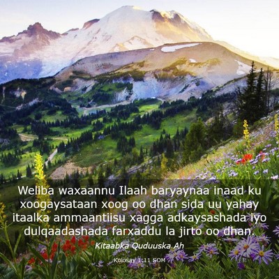 Picture 03 - Kolosay 1:11 SOM - Weliba waxaannu Ilaah baryaynaa inaad ku - Bible Verse Picture