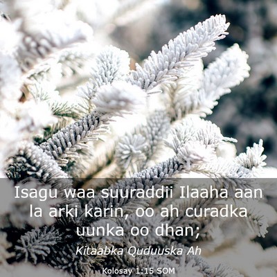 Picture 03 - Kolosay 1:15 SOM - Isagu waa suuraddii Ilaaha aan la arki karin, oo - Bible Verse Picture