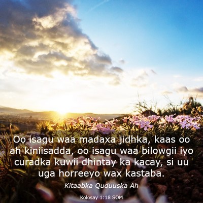 Picture 03 - Kolosay 1:18 SOM - Oo isagu waa madaxa jidhka, kaas oo ah - Bible Verse Picture