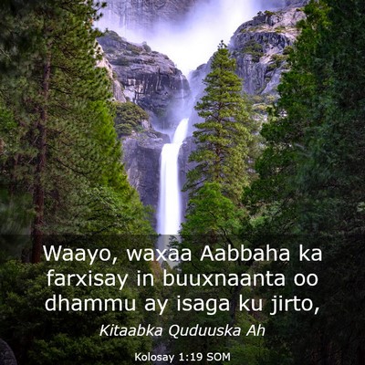 Picture 03 - Kolosay 1:19 SOM - Waayo, waxaa Aabbaha ka farxisay in buuxnaanta oo - Bible Verse Picture
