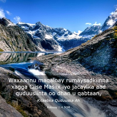 Picture 03 - Kolosay 1:4 SOM - Waxaannu maqalnay rumaysadkiinna xagga Ciise - Bible Verse Picture