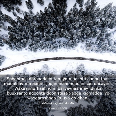 Picture 03 - Kolosay 1:9 SOM - Sababtaas daraaddeed tan iyo maalintii aannu taas - Bible Verse Picture