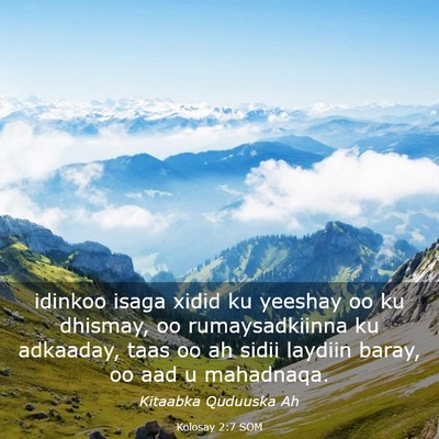 Picture 03 - Kolosay 2:7 SOM - idinkoo isaga xidid ku yeeshay oo ku dhismay, oo - Bible Verse Picture