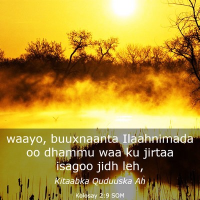 Picture 03 - Kolosay 2:9 SOM - waayo, buuxnaanta Ilaahnimada oo dhammu waa ku - Bible Verse Picture