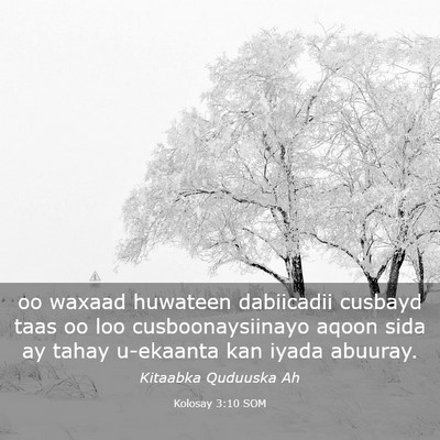 Picture 03 - Kolosay 3:10 SOM - oo waxaad huwateen dabiicadii cusbayd taas oo loo - Bible Verse Picture