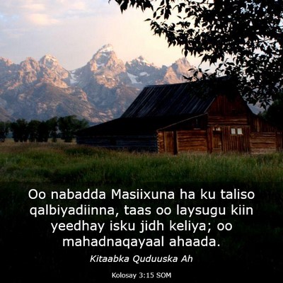 Picture 03 - Kolosay 3:15 SOM - Oo nabadda Masiixuna ha ku taliso qalbiyadiinna, - Bible Verse Picture