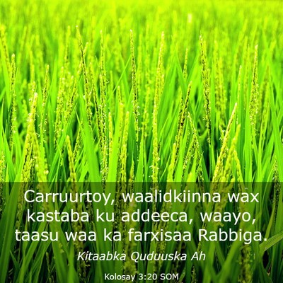 Picture 03 - Kolosay 3:20 SOM - Carruurtoy, waalidkiinna wax kastaba ku addeeca, - Bible Verse Picture