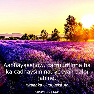 Picture 03 - Kolosay 3:21 SOM - Aabbayaashow, carruurtiinna ha ka cadhaysiinina, - Bible Verse Picture